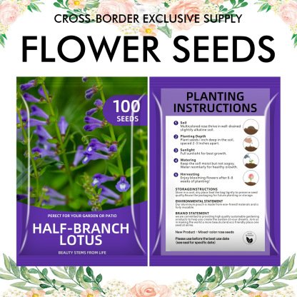 🌺Four Seasons Flowering Mixed Flower Seeds - Easy to Grow