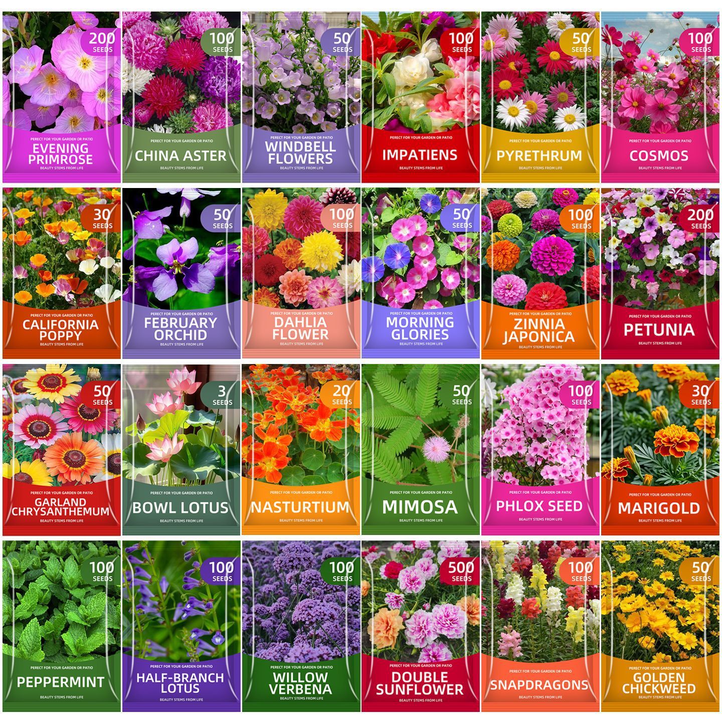 🌺Four Seasons Flowering Mixed Flower Seeds - Easy to Grow