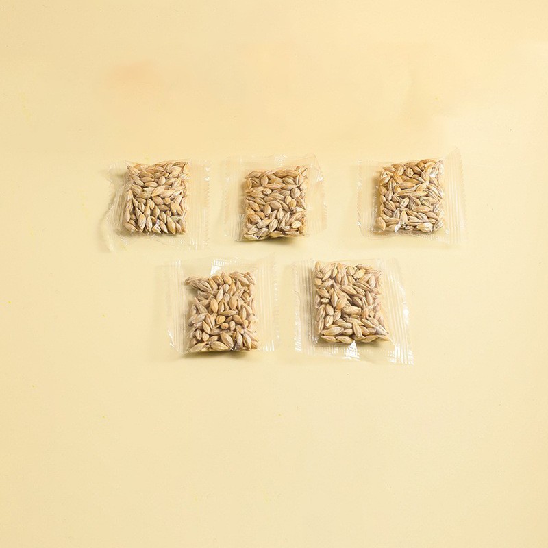 🌱 Cat Grass Seeds-Easy to Grow