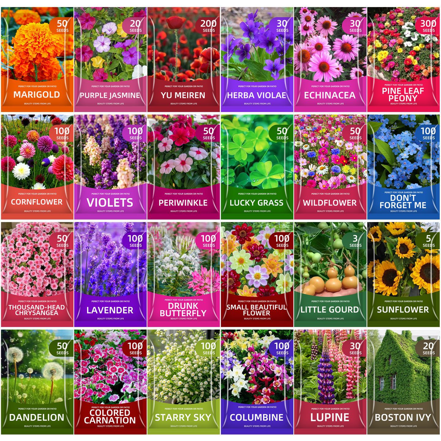 🌺Four Seasons Flowering Mixed Flower Seeds - Easy to Grow