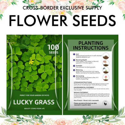 🌺Four Seasons Flowering Mixed Flower Seeds - Easy to Grow
