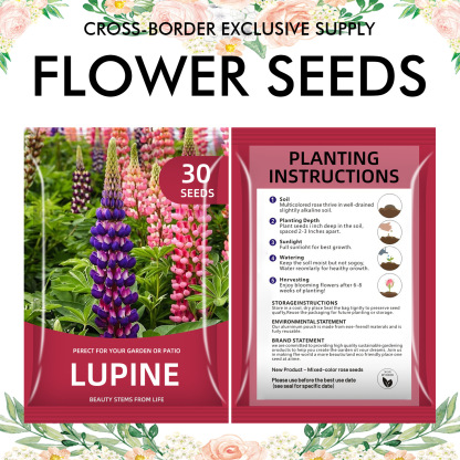 🌺Four Seasons Flowering Mixed Flower Seeds - Easy to Grow