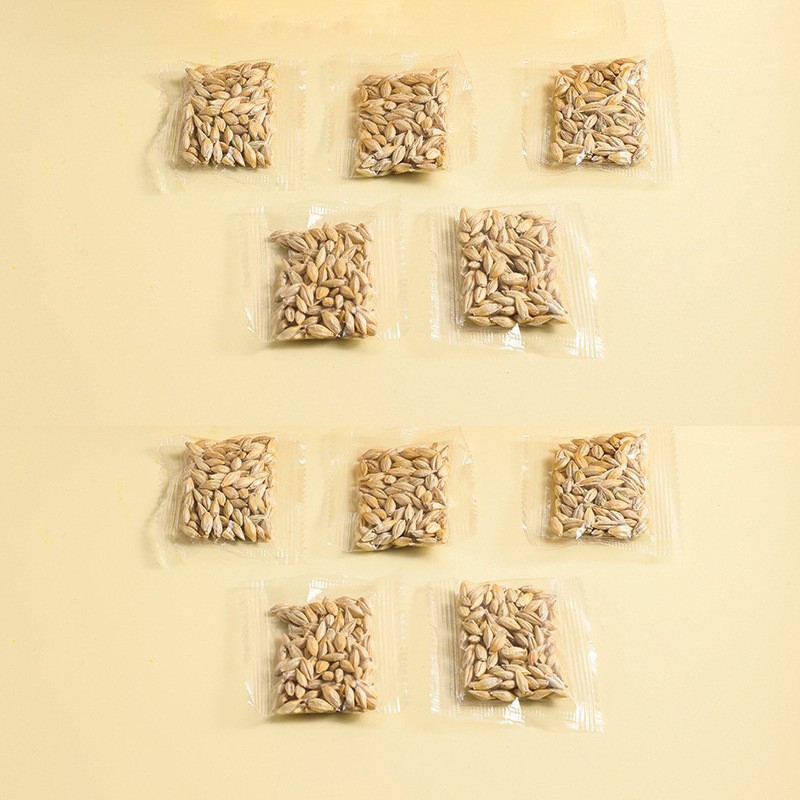 🌱 Cat Grass Seeds-Easy to Grow