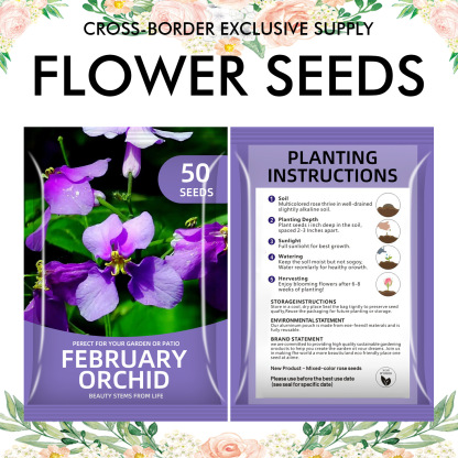 🌺Four Seasons Flowering Mixed Flower Seeds - Easy to Grow