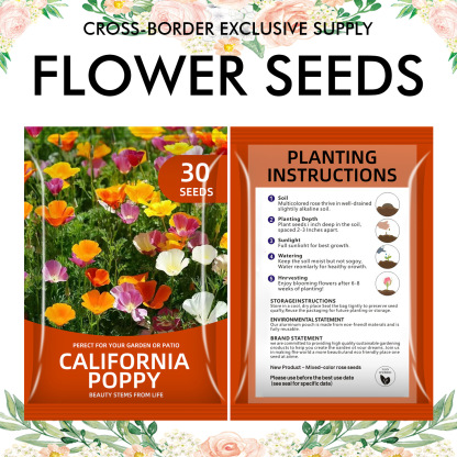 🌺Four Seasons Flowering Mixed Flower Seeds - Easy to Grow