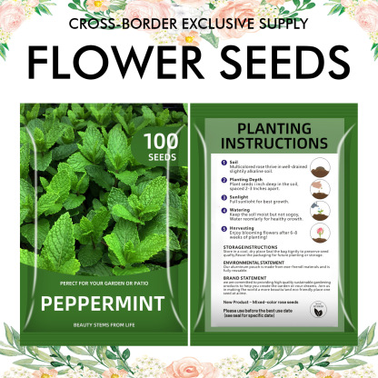 🌺Four Seasons Flowering Mixed Flower Seeds - Easy to Grow