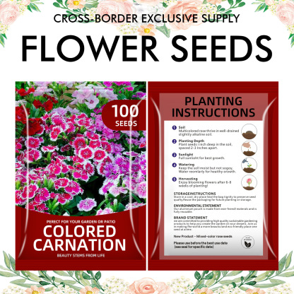 🌺Four Seasons Flowering Mixed Flower Seeds - Easy to Grow
