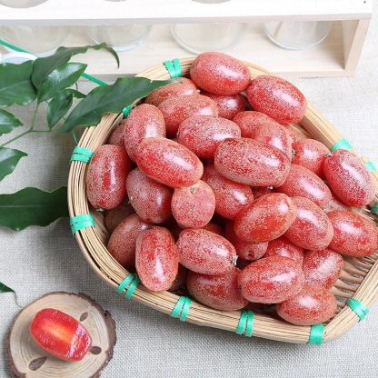 DENSEFLOWER ELAEAGNUS FRUIT SEEDS