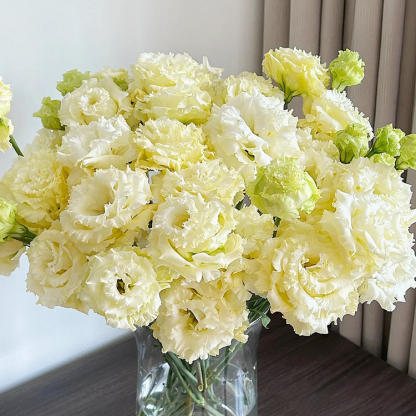 💐Lisianthus - Sincere Love