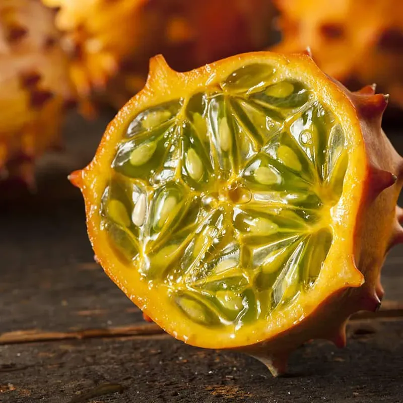 Graines de melon et concombre gélifiés