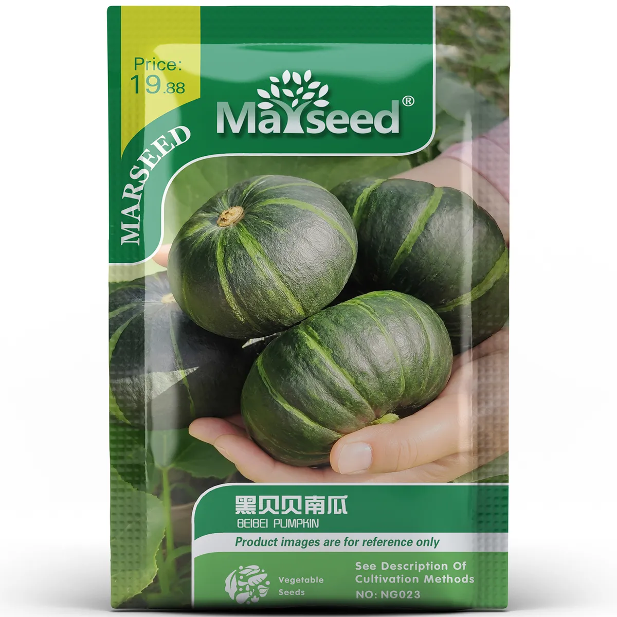 Heirloom Black BeiBei Pumpkin Seeds