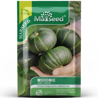 Heirloom Black BeiBei Pumpkin Seeds