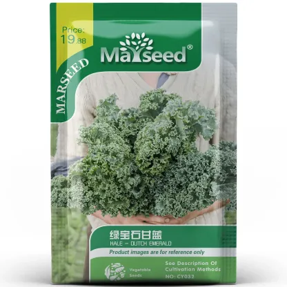 KALE-DUTCH EMERALD SEEDS