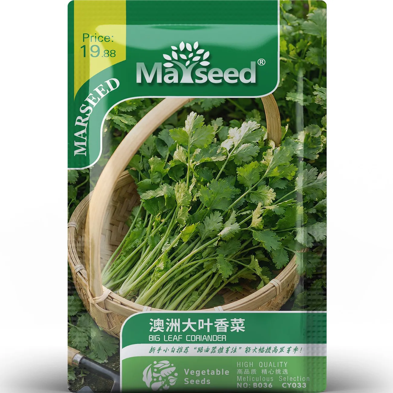 BIG LEAF CORIANDER SEEDS