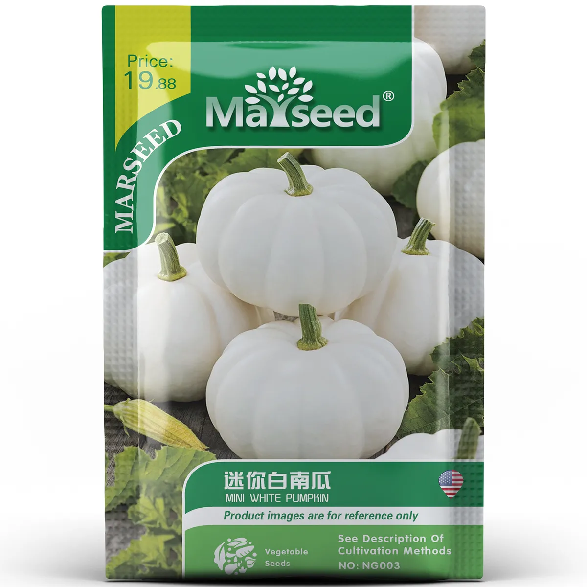 Mini White Pumpkin Seeds