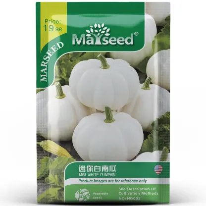 Mini White Pumpkin Seeds