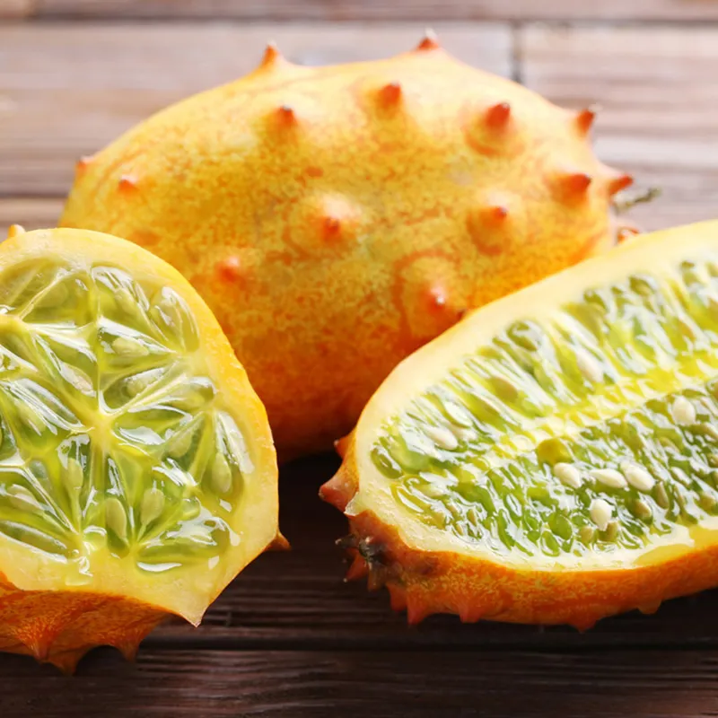 Graines de melon et concombre gélifiés