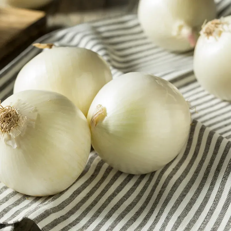 WHITE SWEET SPANSH ONION SEEDS