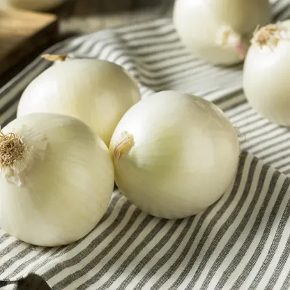 WHITE SWEET SPANSH ONION SEEDS