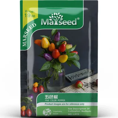 Chinese Five-Color Pepper Ornamental Pepper