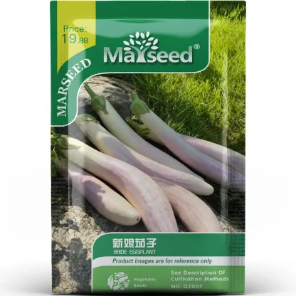 Special variety of bridal eggplant seeds