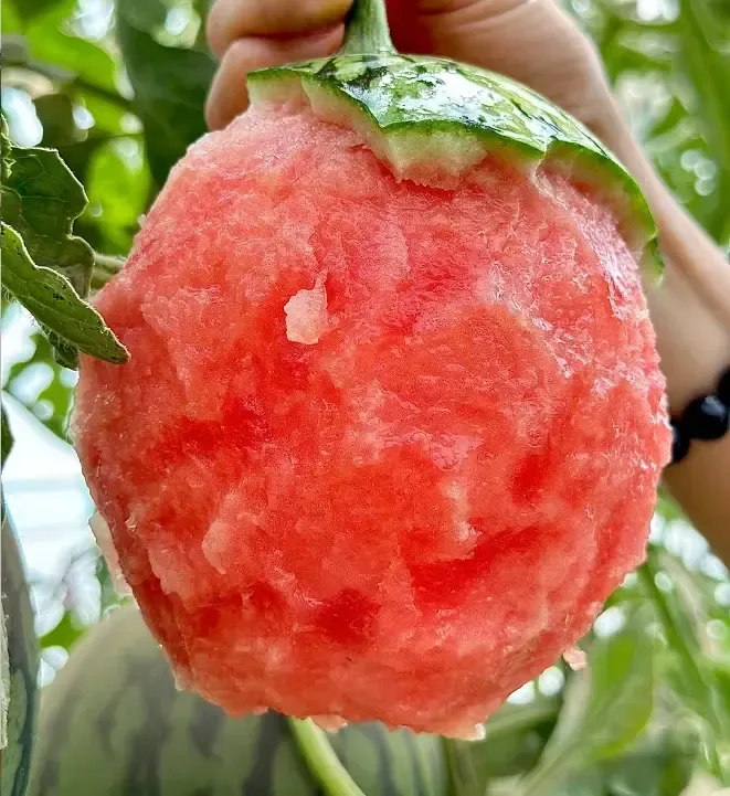 🍉Sweet Siberian Watermelon Seeds