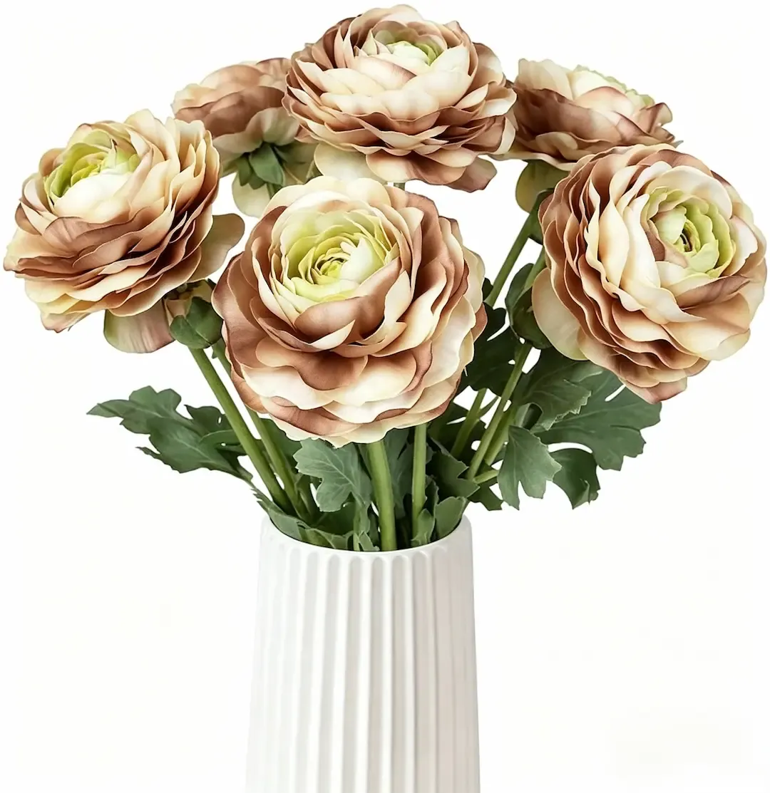 🌸An elegant sprite in the garden | Ranunculus