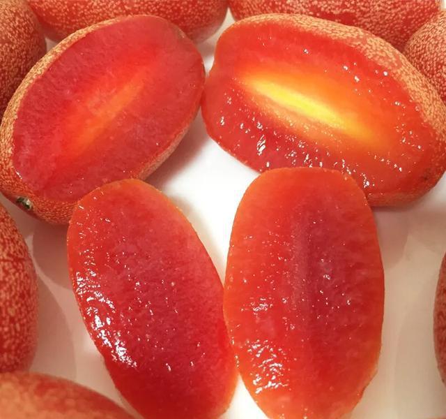 DENSEFLOWER ELAEAGNUS FRUIT SEEDS