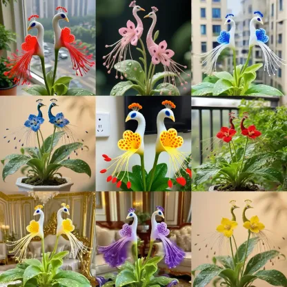 💎 Peacock Bloom Orchid