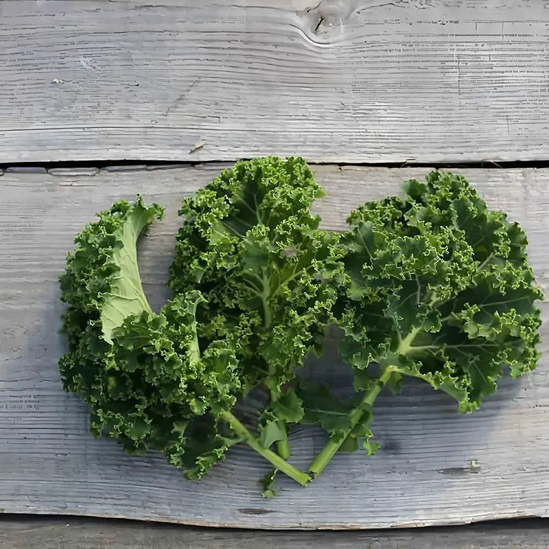 KALE-DUTCH EMERALD SEEDS