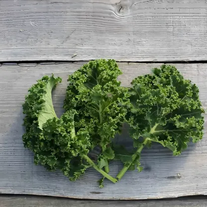 KALE-DUTCH EMERALD SEEDS