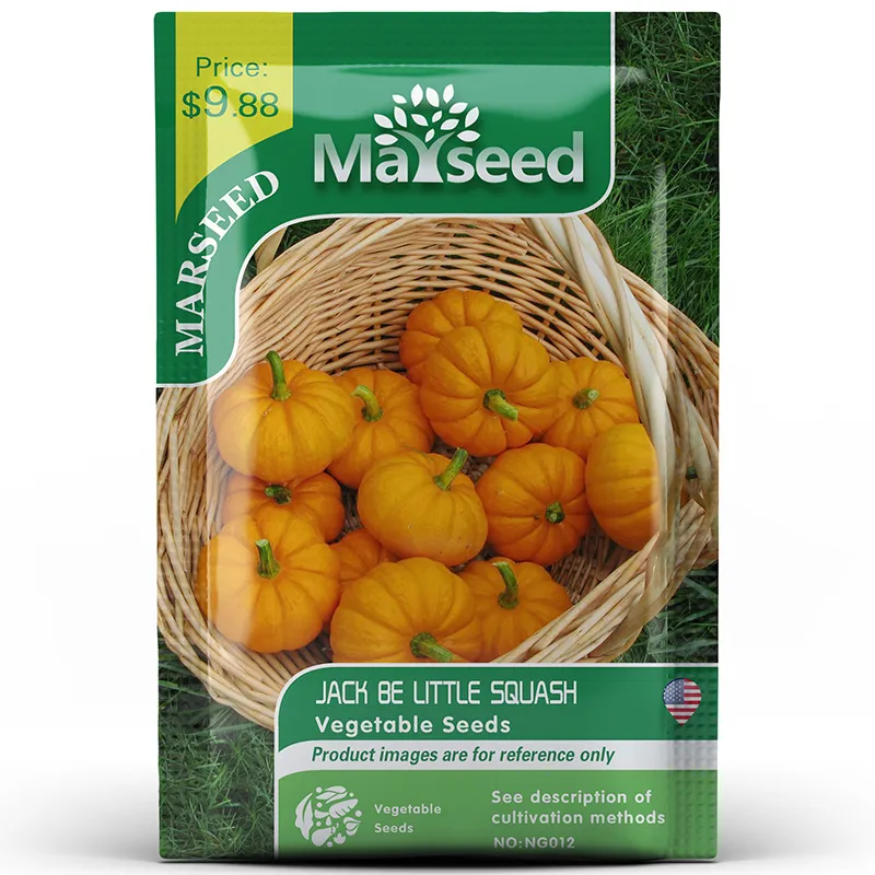 Super sweet, high-yield, family heirloom Jack Be Little pumpkin seeds