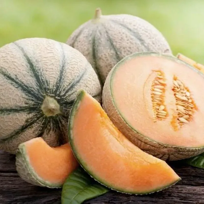 Charentais Melon Seeds