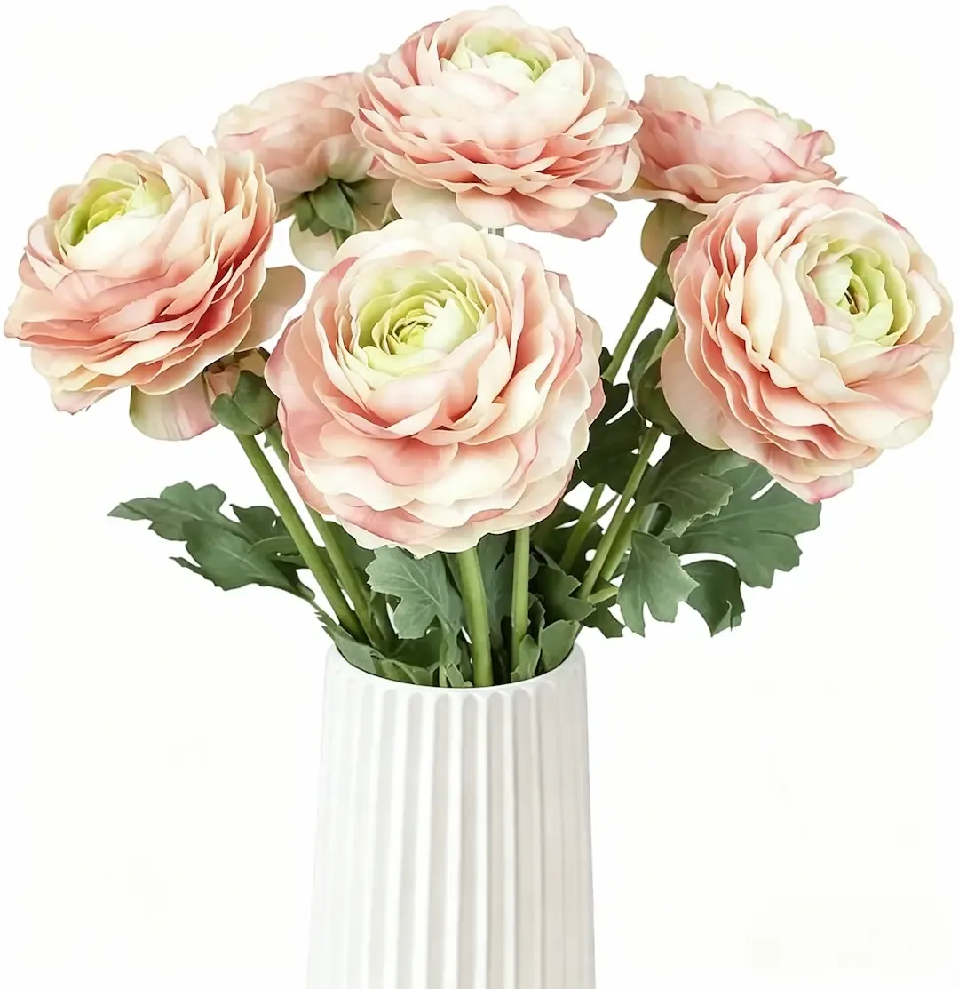 🌸An elegant sprite in the garden | Ranunculus