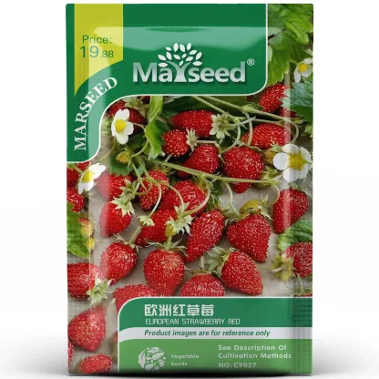 Climbing Strawberry Tree Seeds