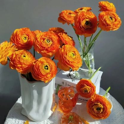 🌸Ranunculus—Wealth And Good Fortune—Perennials—Mixed Color Plants—Home Garden Flower Seeds