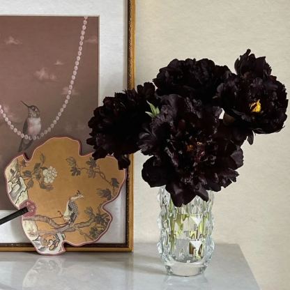 🖤Black Beauty Peony Flower Seeds