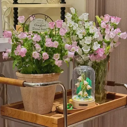 🌺Four Seasons Flower Seeds