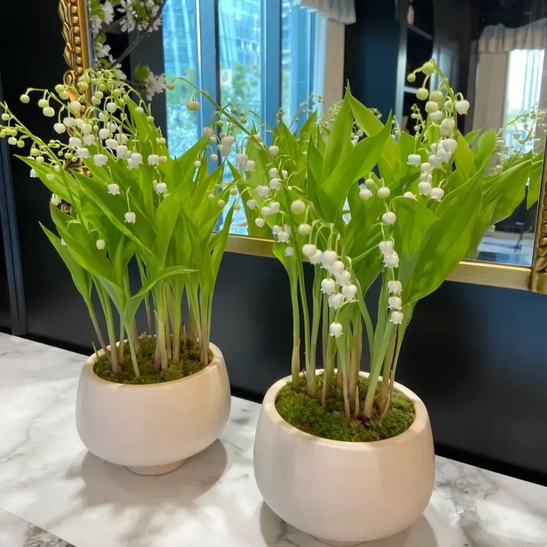 🏆2026 Best-Selling💐Lily Of The Valley—Hppiness Arrives