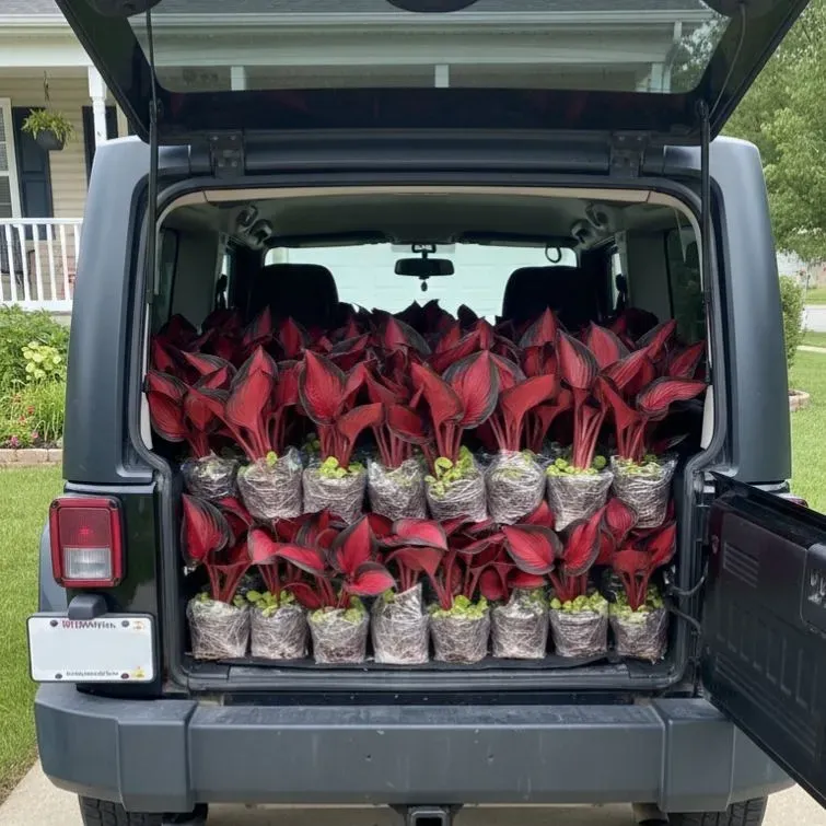 🔥Glow-in-the-Dark Garden Magic: Rare Black Red Flame Hostas Seeds