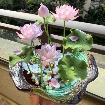 💖💖 The Premium Bonsai Lotus Flower Seeds -Easy to Grow, Rich Scented，Palm Size / Space Saving
