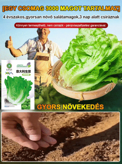 Négy évszak ültetése🌿Vegyél egyet, kapj még egyet ajándékba, 3000 maggal! 