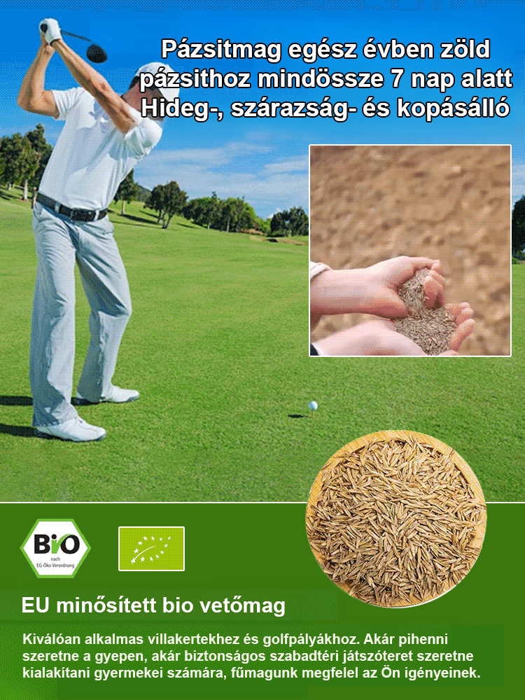 🏡Csírázás 7 nap alatt, tökéletes gyep 30 nap alatt! Könnyű ültetés, még a kezdők is sikeresek lehetnek