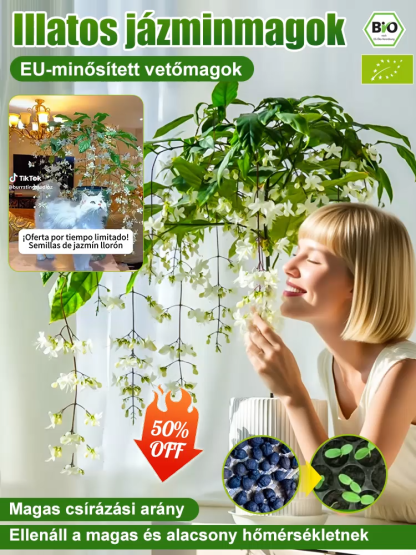 【Illat messzire terjed】Erős illatú lógó jázminmagok