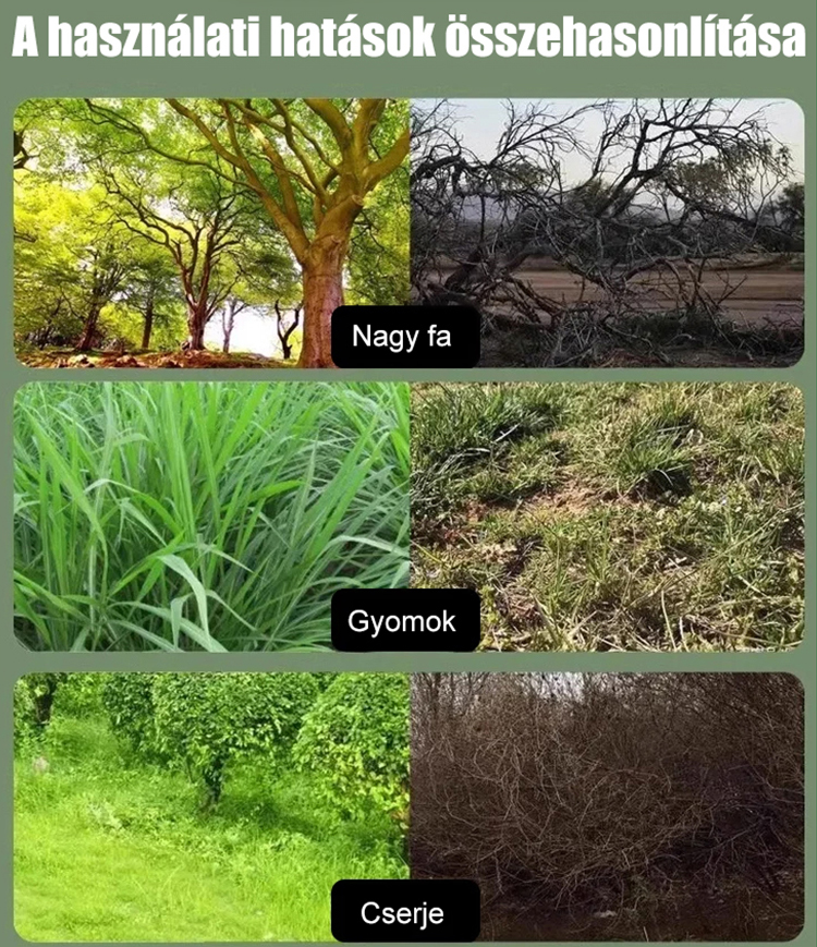 Egy tűs piridoxál-kinon előkészítő szer