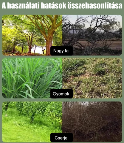 Egy tűs piridoxál-kinon előkészítő szer