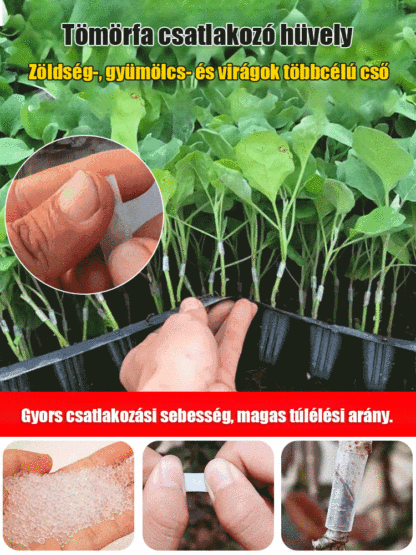 【Kis fehér termesztési segítő】Oltóhüvely