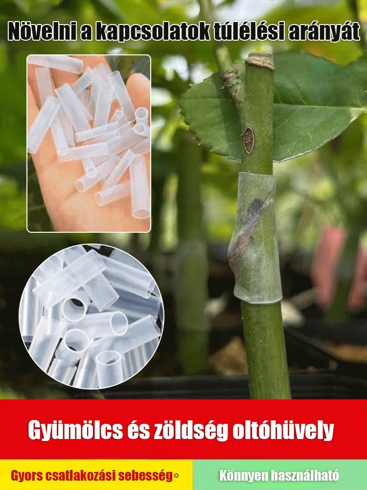 【Kis fehér termesztési segítő】Oltóhüvely