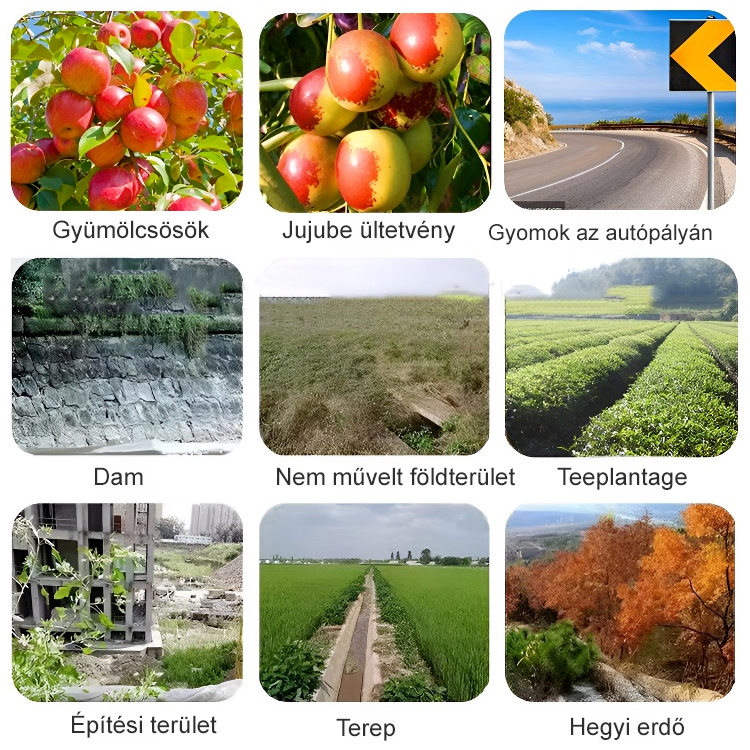 Oxamidofosz gyomirtó szer magas koncentrációja