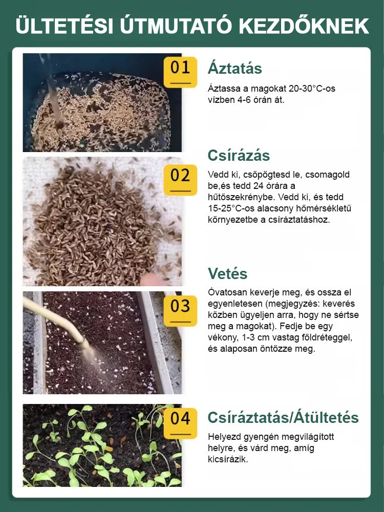 Négy évszak ültetése🌿Vegyél egyet, kapj még egyet ajándékba, 3000 maggal! 